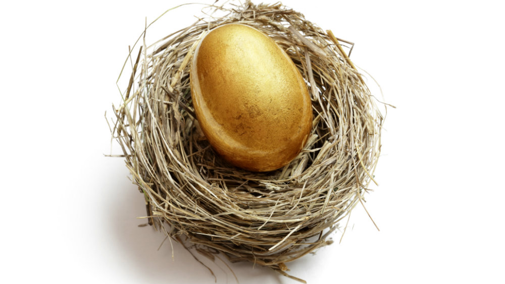 A golden egg in a nest