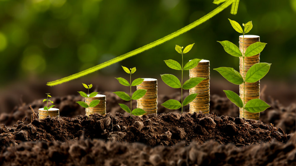 Money growing in soil , Business success concept.