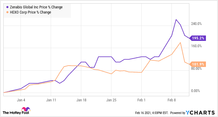 HEXO and ZENA YTD stock price performance before merger. As of Feb 12, 2021.