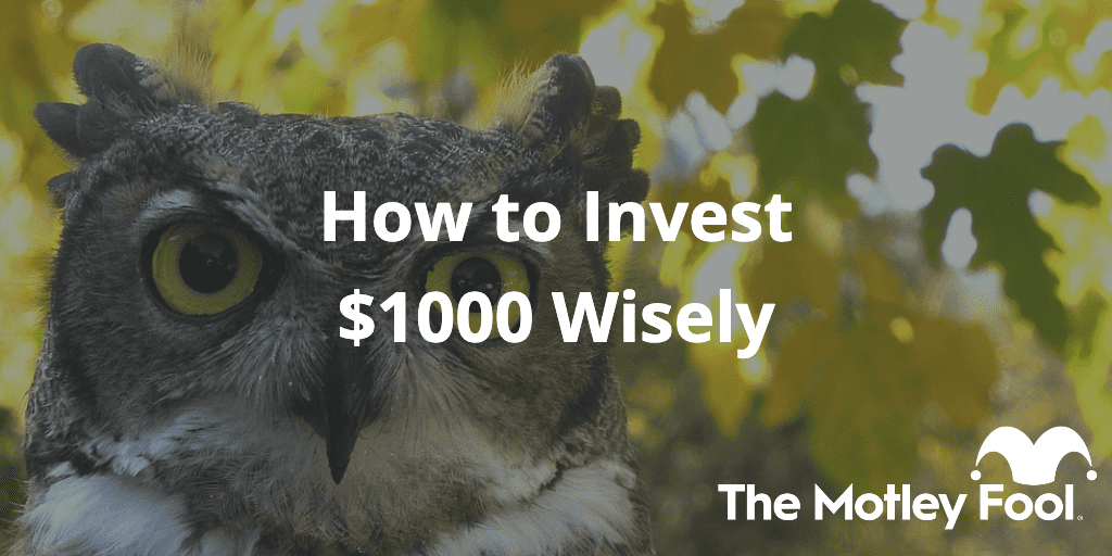Owl in tree with the text “how to invest $1000 Wisely” and The Motley Fool jester cap logo