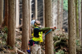A forestry worker measuring and marking trees for selective logging.
