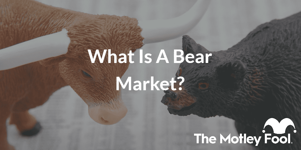 Bear and bull figures with the text “What Is a Bear Market?” and The Motley Fool jester cap logo