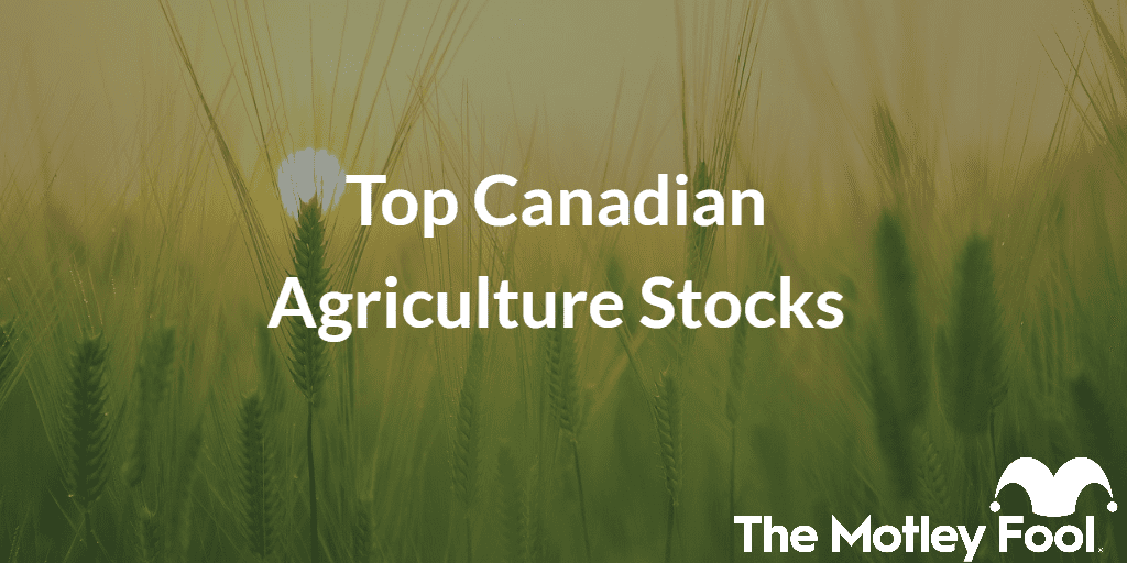 Corn field with the text “Top Canadian Agriculture Stocks” and The Motley Fool jester cap logo