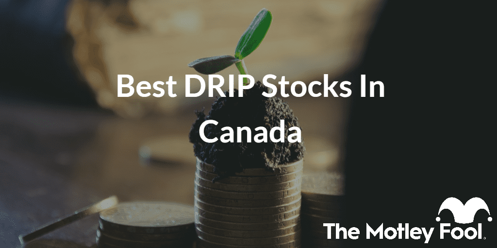 plant growing on money with the text “Best DRIP Stocks in Canada” and The Motley Fool jester cap logo