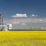 A steel grain silo storage tank with solar panel in a yellow canola field in bloom in Alberta, Canada.