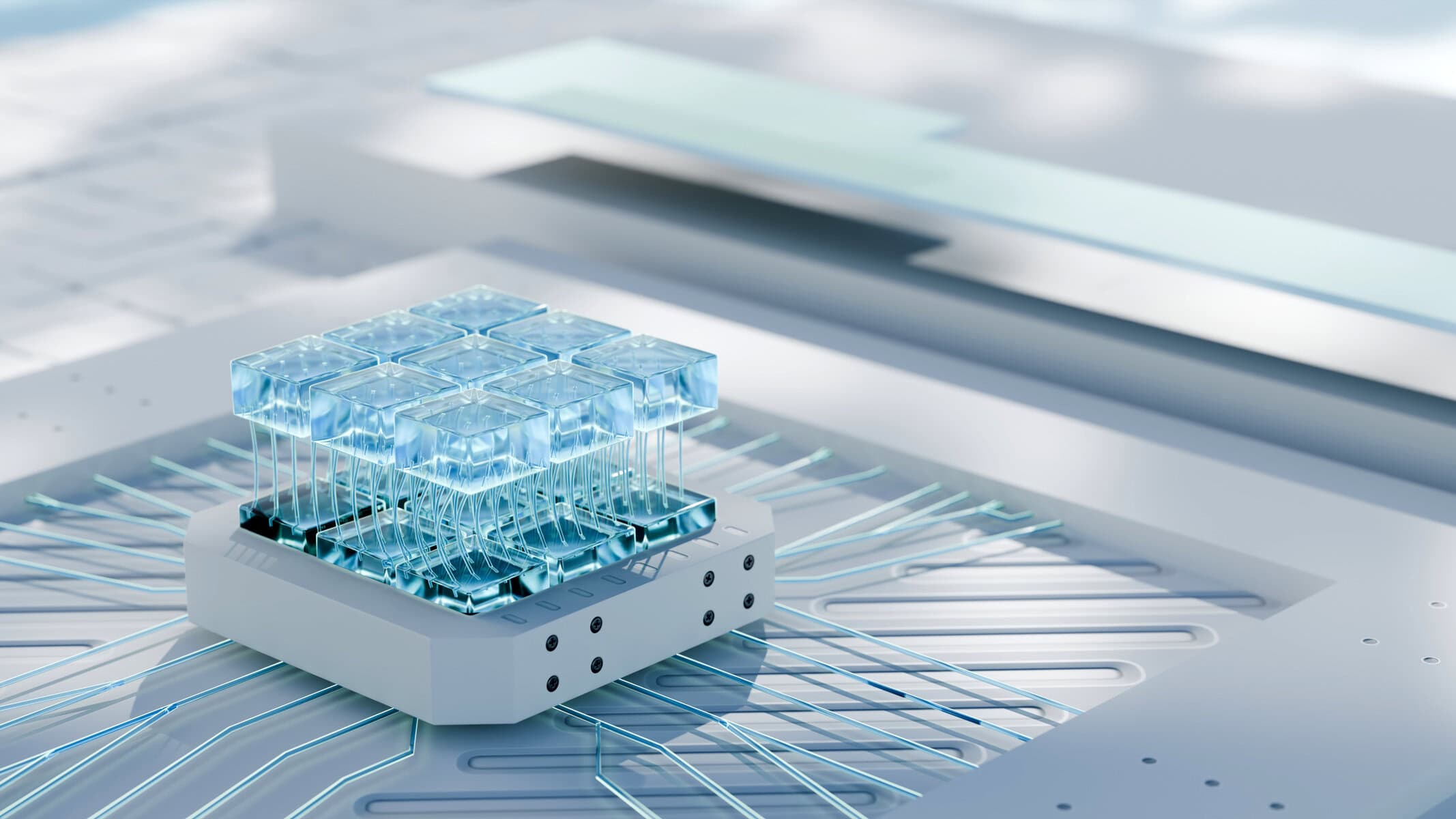 This Canadian Tech Gem Is Off 48%: Time to Buy and Hold for Years