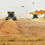 combine machine works the farm harvest