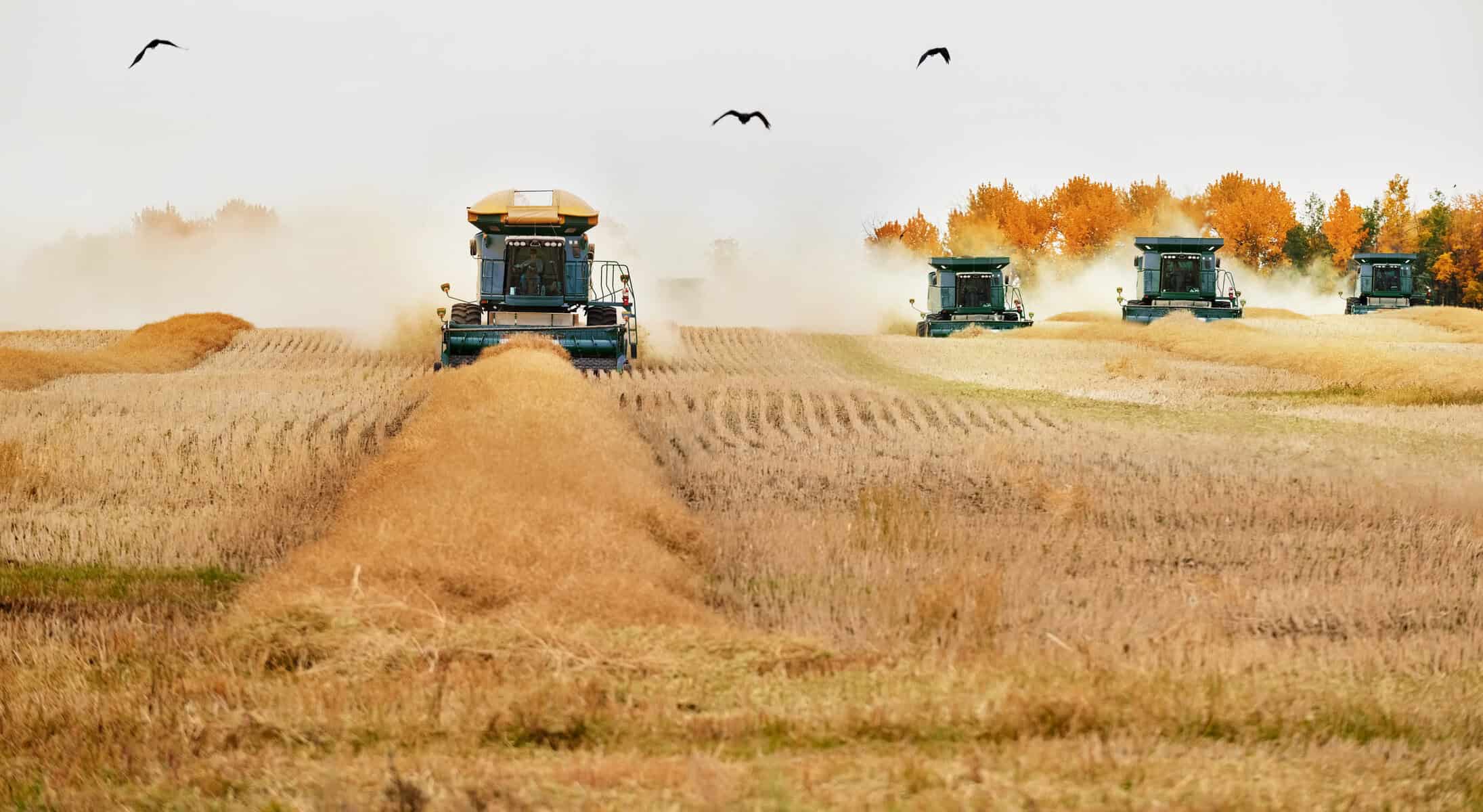 5 TSX Dividend Stocks Yielding 2.9% to 6.2% for Steady Cash Flow in Any Market