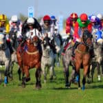 horses compete to win race