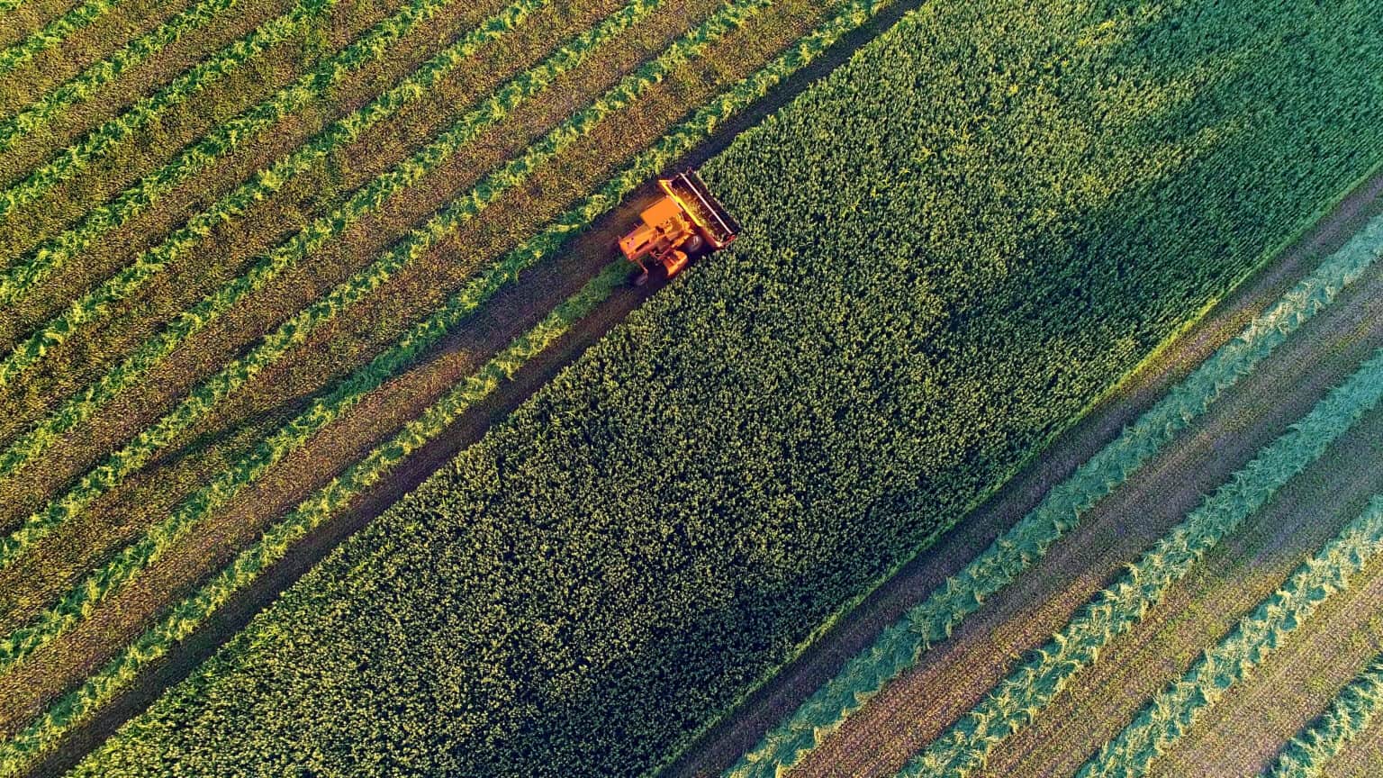 Canada's Potash Exports Face Fresh U.S. Uncertainty: What Investors ...
