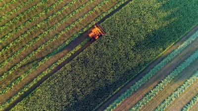 Agricultural harvesting at the last light of day, aerial view.
